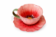 Cup flower